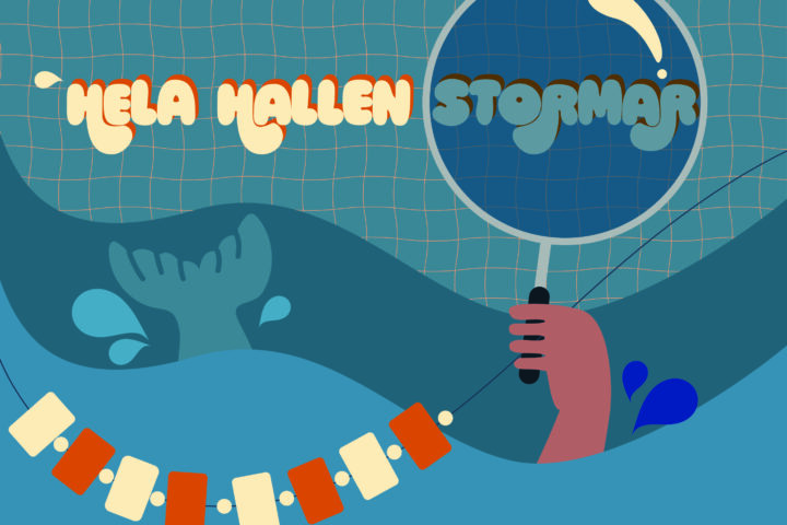HELA HALLEN STORMAR