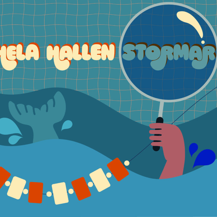 HELA HALLEN STORMAR