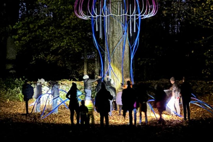 Ficklampsvisning i skulpturparken