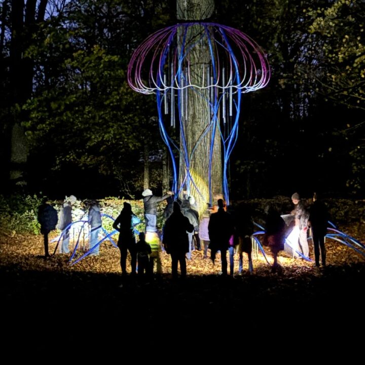 Ficklampsvisning i skulpturparken