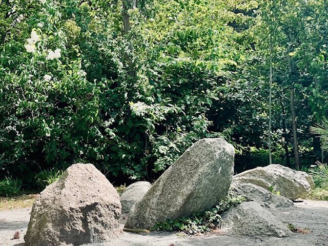 Barnbarnsstenarna. Samskapad naturkonstlek i Dammhejdeparken Ystad