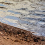 Drop-in workshop: Interact with your image